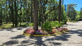 Espetacular Flat no Mountain Village - 8