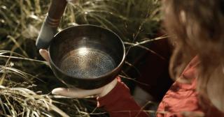 MGM Wellness Retreat - 6