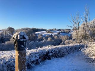 The Dragon's Hut with cozy logburner - Wrexham - 9