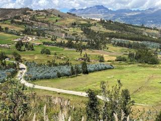 Conga Lodge Cabana Alpina - 5