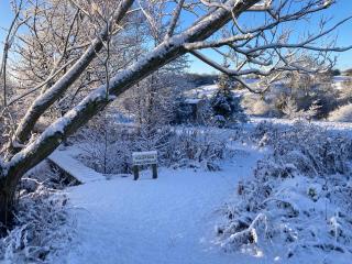 The Shepherd's Hut with cozy logburner - 9
