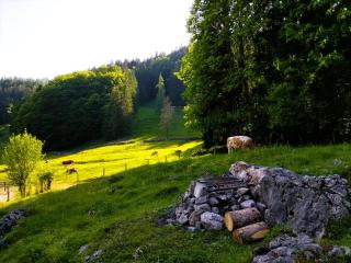 Hütten-Idylle im Naturparadies - 4