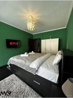 MoHost Tampa - cozy vibes with a mountain view - 9