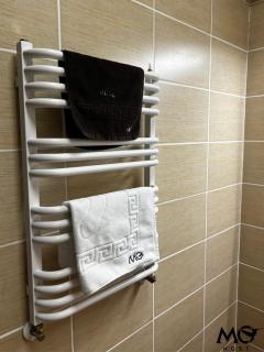 MoHost Tampa - cozy vibes with a mountain view - 4