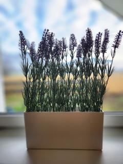 Bad Ischl Garten Apartment - 1