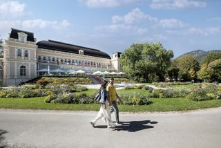 Bad Ischl Garten Apartment - 4