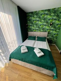 Trzy Małe Drzewka - 8