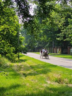 Charlotte Garden Bed and Breakfast - 4