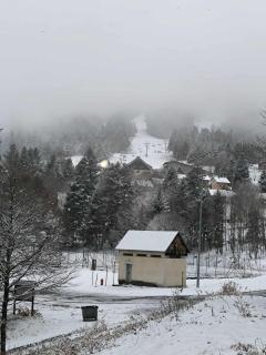 Un refuge chaleureux au cœur du Mourtis - 4