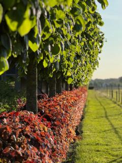 Thuysgrond - Bergeijk - 5