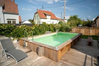 Le Bollwiller Piscine Jacuzzi Vignoble - 0