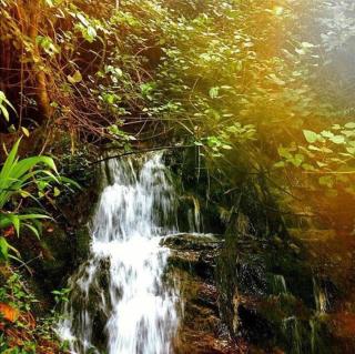 Mount pleasant Inns - 7