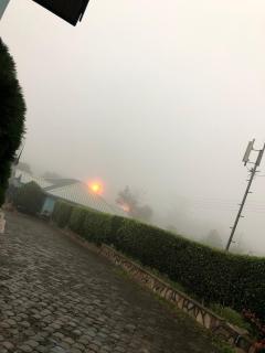 Mount pleasant Inns - 5