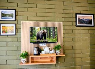 Silver wings Kasauli - Kasauli - 1