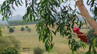 Casa de Campo em Guarapari - a 8 minutos da praia de Setiba - 4
