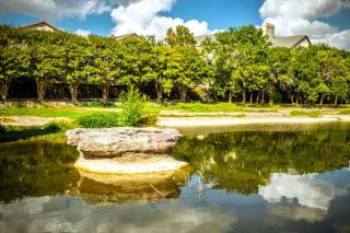 Charming & Bright W Lounging Pool and Hot Tub - 9