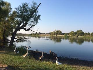 Charming & Bright W Lounging Pool and Hot Tub - 6