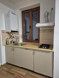 Charming Villa in the Heart of Bucharest - 5