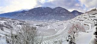 Casa il Glicine Valtellina - 6