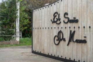 El Sueño de Mamá - 8