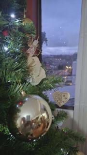 Andean refuge near Valle de las Agujas - 5