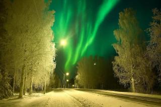 Winterwonderland Privat Villa with Sauna and big yard - 6