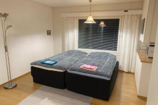 Winterwonderland Privat Villa with Sauna and big yard - 5