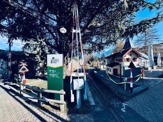 Historic House near Montreux, Leysin and Villars - 8