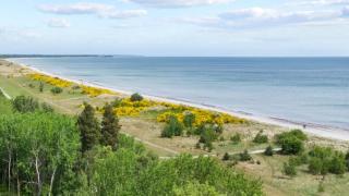 Villavilla 519 - Marielyst, Lollandfalstermøn - 9