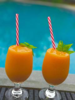 Turtle Pond Wilpattu - 8