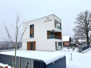 Luxury apartments Villa Wood with spa and heated pool NEW - 3