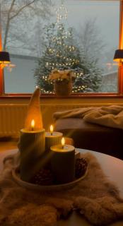 Rustiek Boschalet Sven Veluwe met Omheinde Tuin - 1