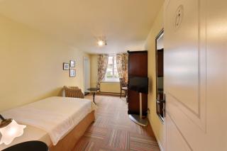 Romantik Hotel Schwan - Horgen - 9