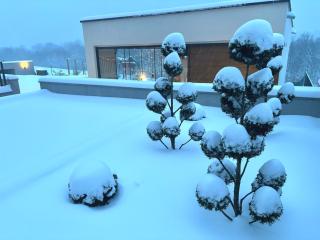 Luxury apartments Villa Wood with spa and heated pool NEW - 8