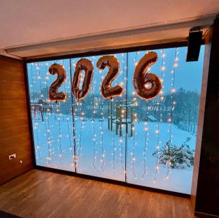 Luxury apartments Villa Wood with spa and heated pool NEW - 5