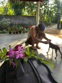 Sinharaja Greenvilla - 7