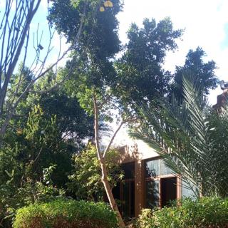 Ecolodge du Draa - 6