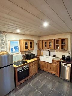 Chalet - video projecteur et terrasse - proche ski - 5