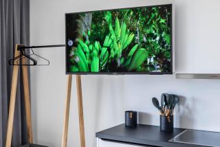 Haus Seeblick Wohnung 04 "Strandläufer" - Wohlenberg - 6