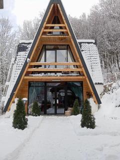 Cabana Aframe Blidari - 9