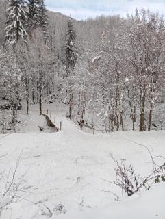 Cabana Aframe Blidari - Blidari - 2