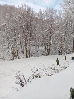 Cabana Aframe Blidari - 7