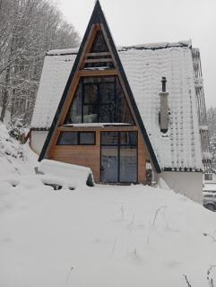 Cabana Aframe Blidari - 8