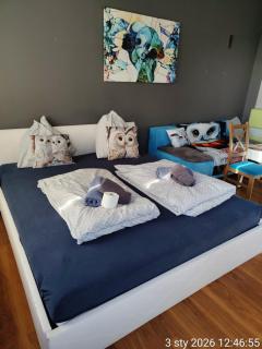 TRZY SOWY noclegi Bytom 24h meldunek samodzielny wygodnelokumpl - 7