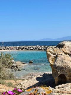 Bungalow le Sartène - 1