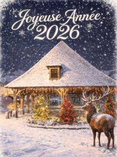 Centre historique de LYONS LA FORET Hotel de Maître le Cottage - 8