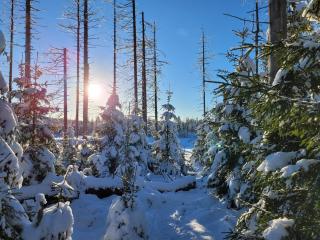 Ferienwohnung LUNA Haus Sachsensteinblick - 6