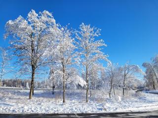 Ferienwohnung LUNA Haus Sachsensteinblick - 8