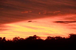 BioCasa Buena Vista - 4