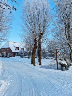 Ferienwohnung Hein sien Huus Rodenäs Nordfriesland - 7